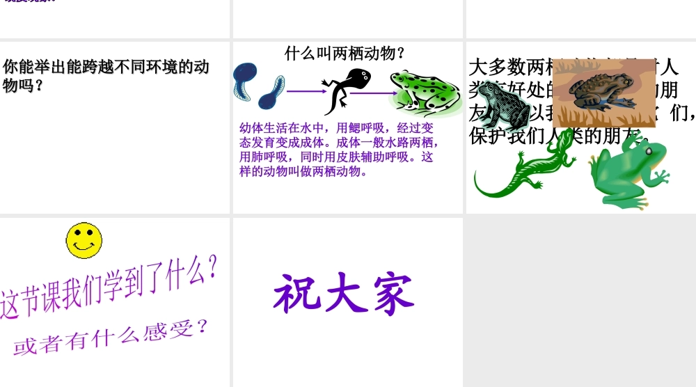 八年级生物上册 第5单元 第1章 动物的主要类群 第三节 空中飞行的动物（第二课时）课件 新人教版