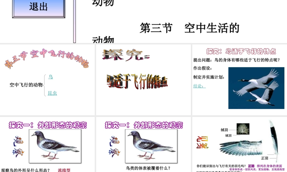 八年级生物上册 第5单元 第1章 动物的主要类群 第三节 空中飞行的动物（第一课时）课件 新人教版