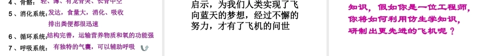 八年级生物上册 第5单元 第1章 动物的主要类群 第三节 空中飞行的动物（第一课时）课件 新人教版