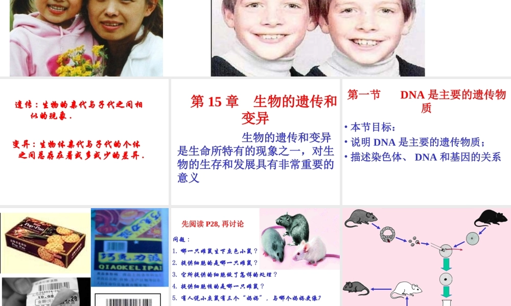 八年级生物上册 第15章第一节DNA是主要的遗传物质精品课件1 苏教版