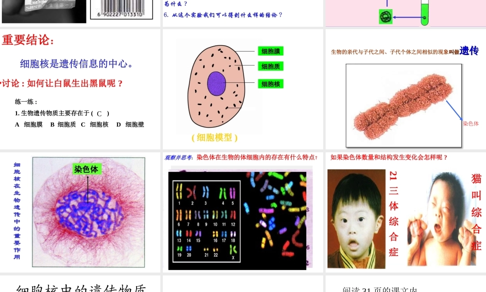 八年级生物上册 第15章第一节DNA是主要的遗传物质精品课件1 苏教版
