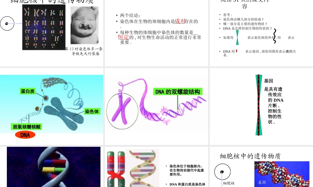 八年级生物上册 第15章第一节DNA是主要的遗传物质精品课件1 苏教版