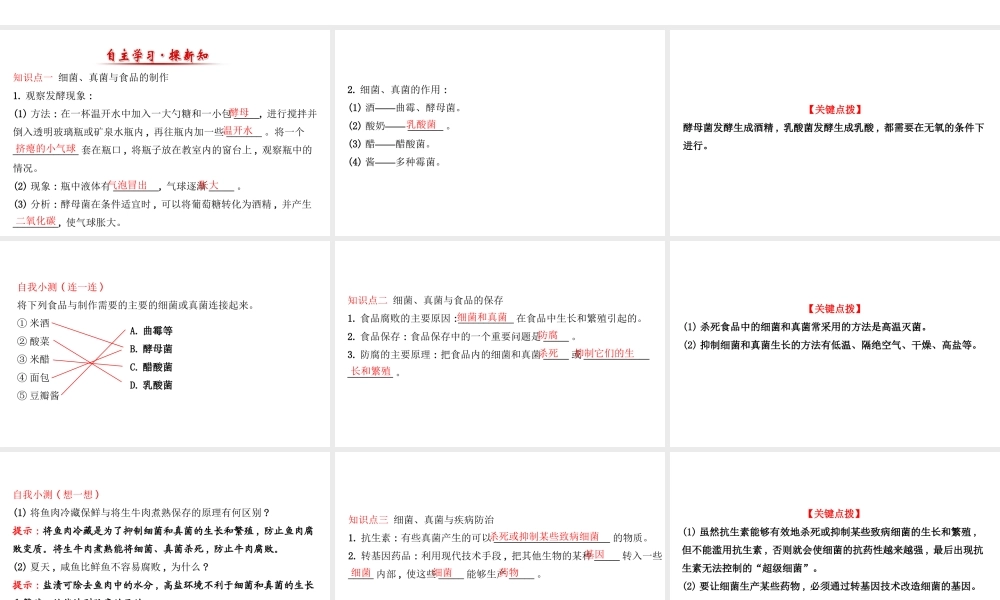 八年级生物上册 探究导学课型 5.4.5 人类对细菌和真菌的利用课件 （新版）新人教版-（新版）新人教版初中八年级上册生物课件
