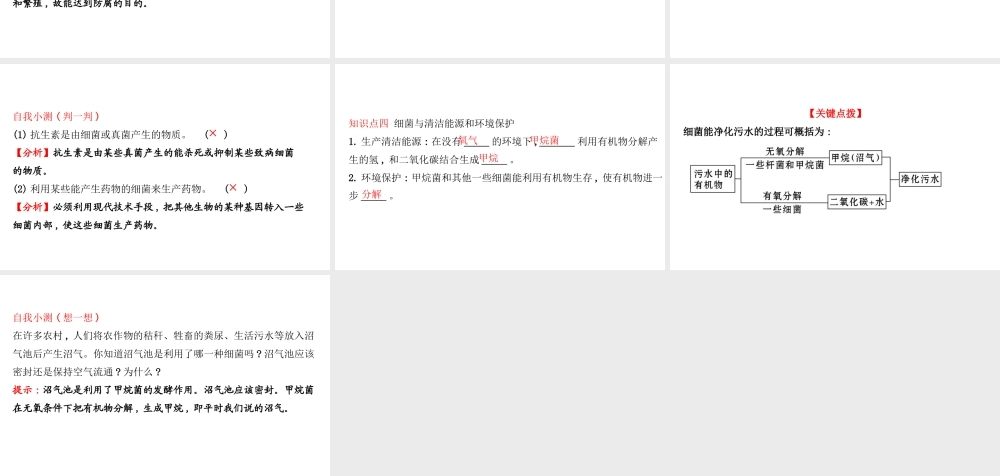 八年级生物上册 探究导学课型 5.4.5 人类对细菌和真菌的利用课件 （新版）新人教版-（新版）新人教版初中八年级上册生物课件