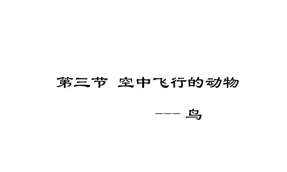 八年级生物上册 第5单元 第1章 动物的主要类群 第三节 空中飞行的动物课件 新人教版