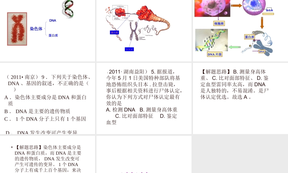 八年级生物上册 第15章第一节DNA是主要的遗传物质精品课件2 苏教版