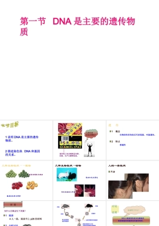 八年级生物上册 第15章第一节DNA是主要的遗传物质精品课件2 苏教版
