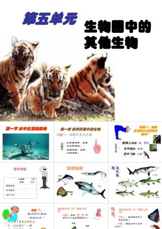 八年级生物上册 第5单元 第1章 动物的主要类群 第一节 水中生活的动物课件 新人教版