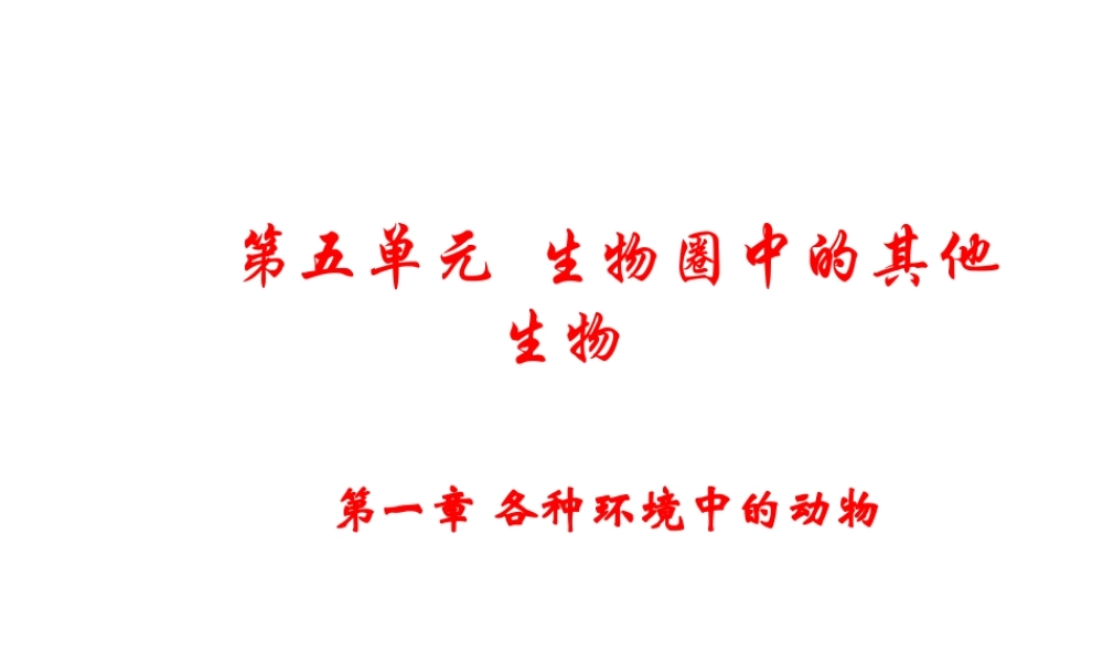 八年级生物上册 第5单元 第1章 动物的主要类群 第一节 水中生活的动物课件1 新人教版