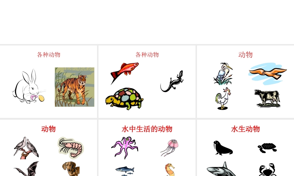 八年级生物上册 第5单元 第1章 动物的主要类群 第一节 水中生活的动物课件1 新人教版