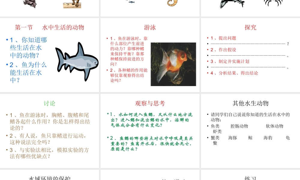 八年级生物上册 第5单元 第1章 动物的主要类群 第一节 水中生活的动物课件1 新人教版