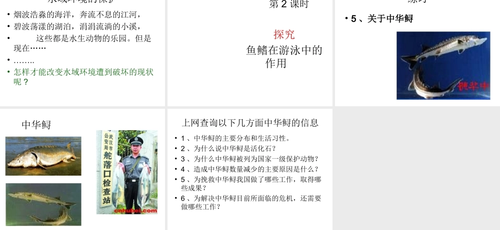 八年级生物上册 第5单元 第1章 动物的主要类群 第一节 水中生活的动物课件1 新人教版