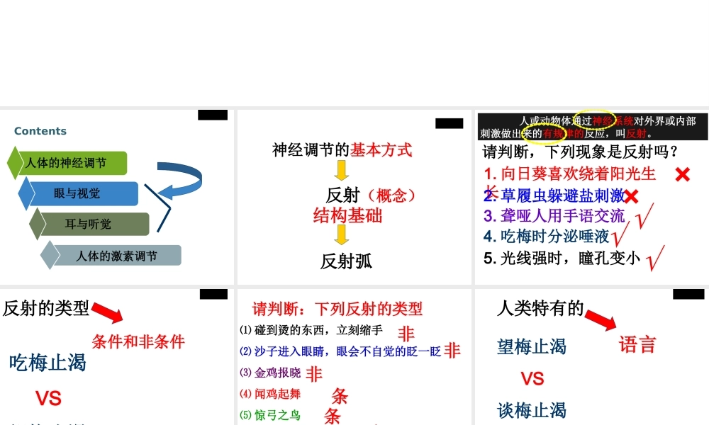 八年级生物上册 第15章人体的神经调节复习课件 苏科版