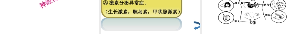 八年级生物上册 第15章人体的神经调节复习课件 苏科版
