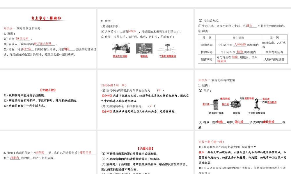 八年级生物上册 探究导学课型 5.5 病毒课件 （新版）新人教版-（新版）新人教版初中八年级上册生物课件