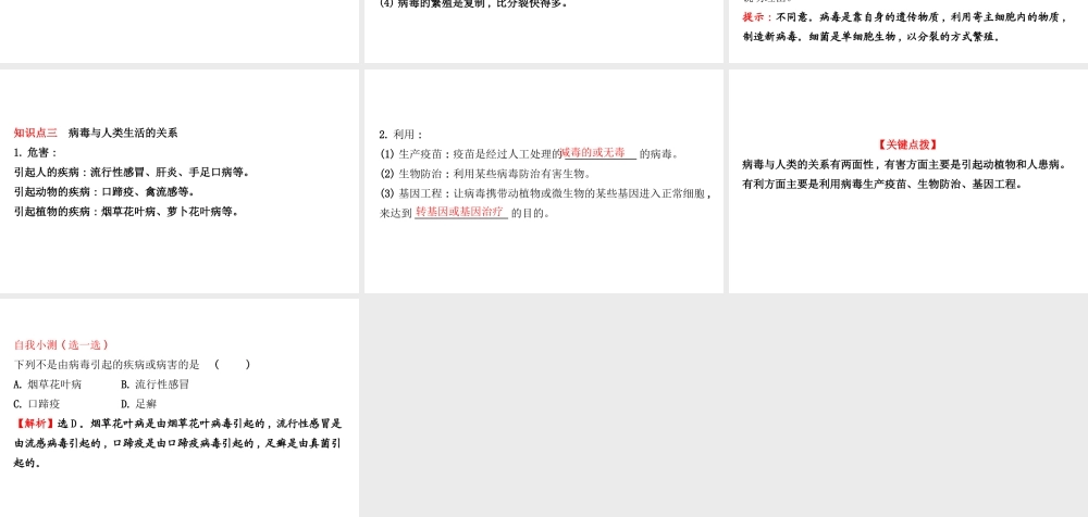 八年级生物上册 探究导学课型 5.5 病毒课件 （新版）新人教版-（新版）新人教版初中八年级上册生物课件