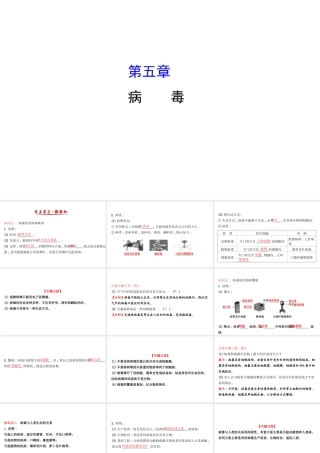 八年级生物上册 探究导学课型 5.5 病毒课件 （新版）新人教版-（新版）新人教版初中八年级上册生物课件