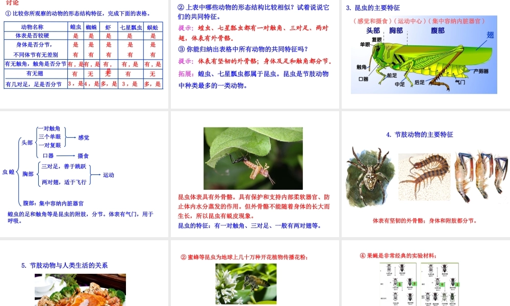 八年级生物上册 情境互动课型 5.1.3 软体动物和节肢动物课件 （新版）新人教版-（新版）新人教版初中八年级上册生物课件