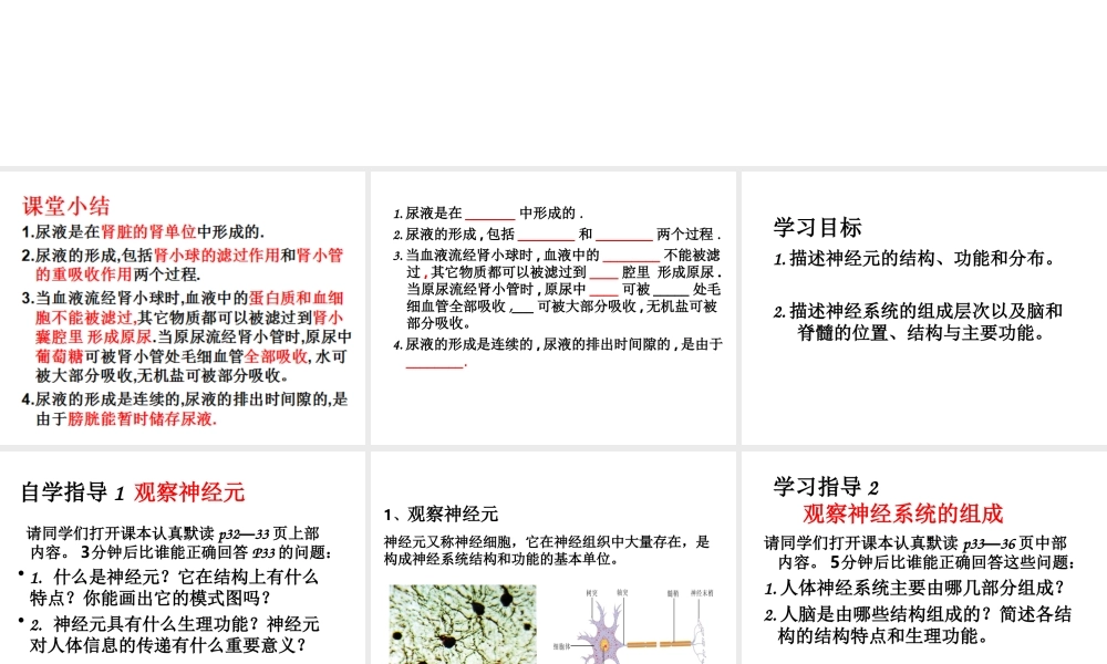 八年级生物上册 第16章 第1节 人体的神经调节课件1 （新版）苏科版-（新版）苏科级上册生物课件