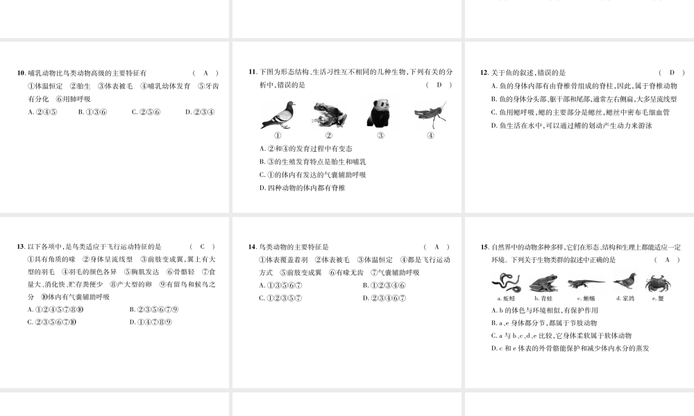 八年级生物上册 第5单元 第1章 动物的主要类群达标测试题课件 （新版）新人教版-（新版）新人教版初中八年级上册生物课件