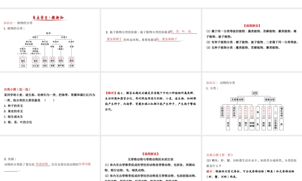 八年级生物上册 探究导学课型 6.1.1 尝试对生物进行分类课件 （新版）新人教版-（新版）新人教版初中八年级上册生物课件