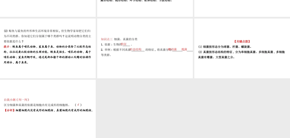 八年级生物上册 探究导学课型 6.1.1 尝试对生物进行分类课件 （新版）新人教版-（新版）新人教版初中八年级上册生物课件