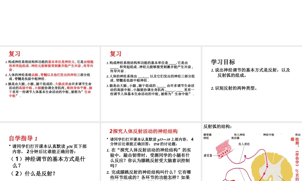 八年级生物上册 第16章 第1节 人体的神经调节课件2 （新版）苏科版-（新版）苏科级上册生物课件