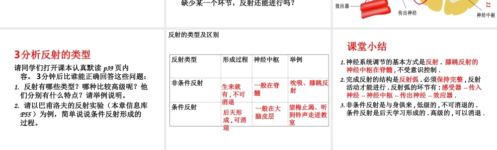 八年级生物上册 第16章 第1节 人体的神经调节课件2 （新版）苏科版-（新版）苏科级上册生物课件
