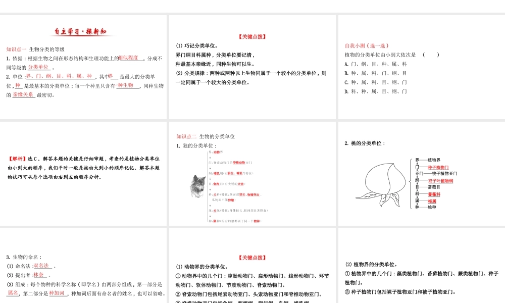 八年级生物上册 探究导学课型 6.1.2 从种到界课件 （新版）新人教版-（新版）新人教版初中八年级上册生物课件