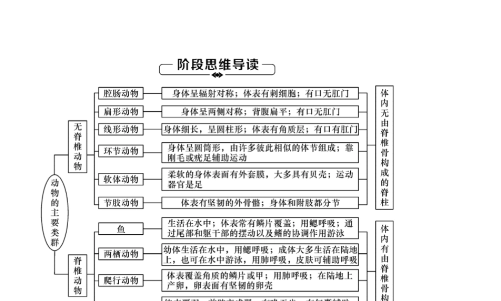 八年级生物上册 第5单元 第1章 动物的主要类群复习练习课件 （新版）新人教版-（新版）新人教版初中八年级上册生物课件