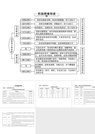 八年级生物上册 第5单元 第1章 动物的主要类群复习练习课件 （新版）新人教版-（新版）新人教版初中八年级上册生物课件