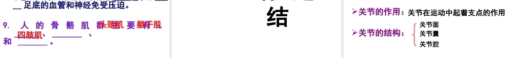 八年级生物上册 第16章 第1节 人体的支持与运动课件 苏科版