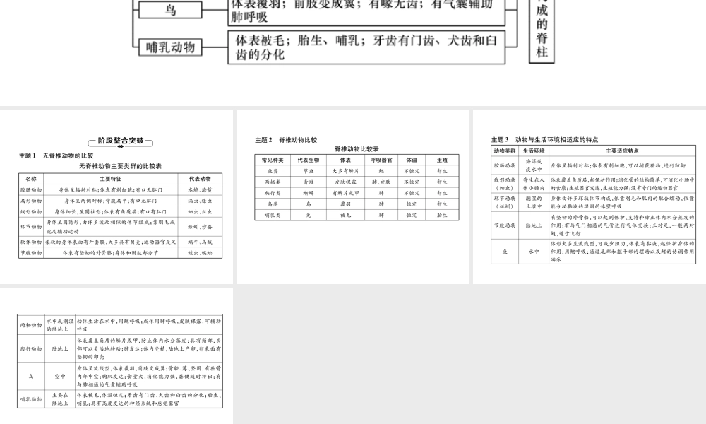八年级生物上册 第5单元 第1章 动物的主要类群复习练习课件 （新版）新人教版-（新版）新人教级上册生物课件