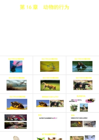 八年级生物上册 第16章 第1节 先天性行为和后天学习行为课件 北师大版-北师大版初中八年级上册生物课件