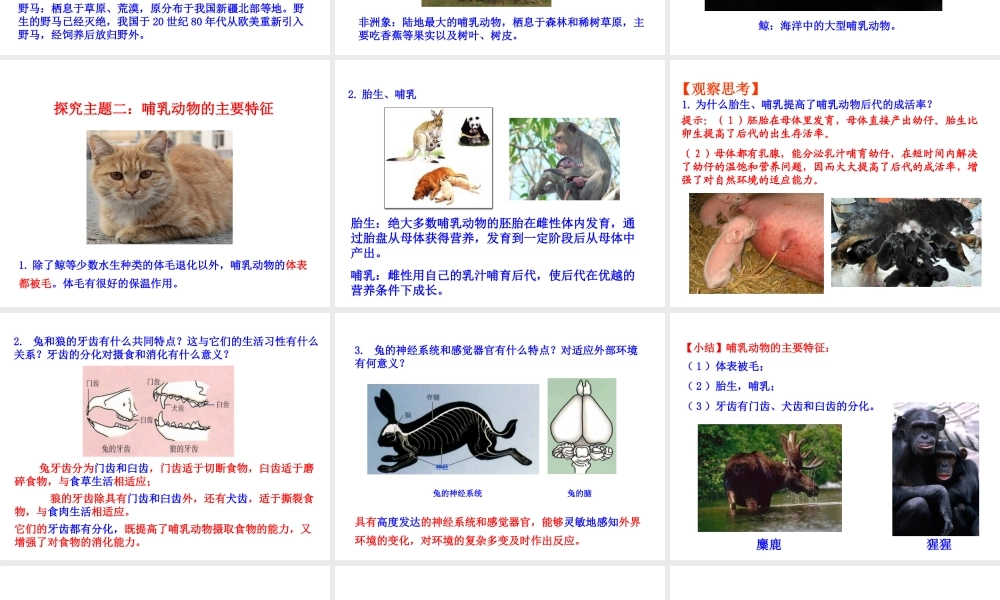 八年级生物上册 情境互动课型 5.1.7 哺乳动物课件 （新版）新人教版-（新版）新人教级上册生物课件