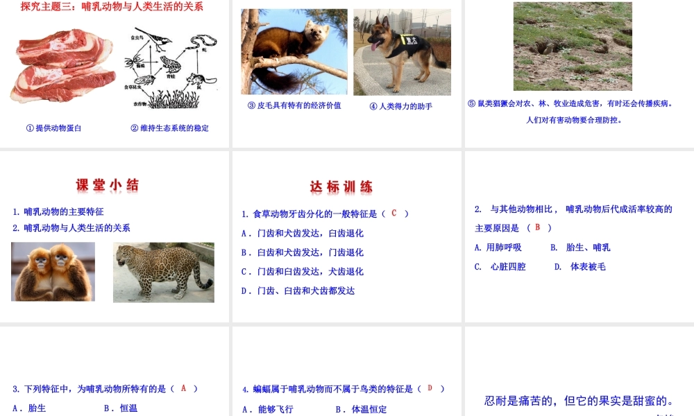 八年级生物上册 情境互动课型 5.1.7 哺乳动物课件 （新版）新人教版-（新版）新人教级上册生物课件