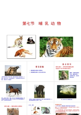 八年级生物上册 情境互动课型 5.1.7 哺乳动物课件 （新版）新人教版-（新版）新人教级上册生物课件