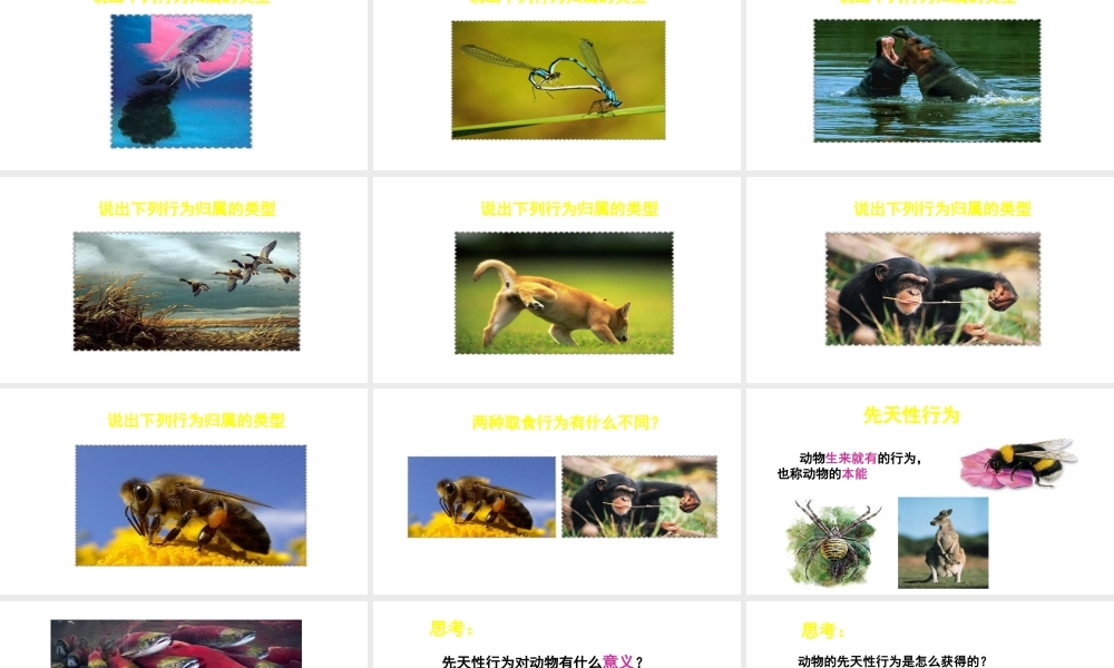 八年级生物上册 第16章 第1节 先天性行为和后天学习行为课件 北师大版-北师大级上册生物课件