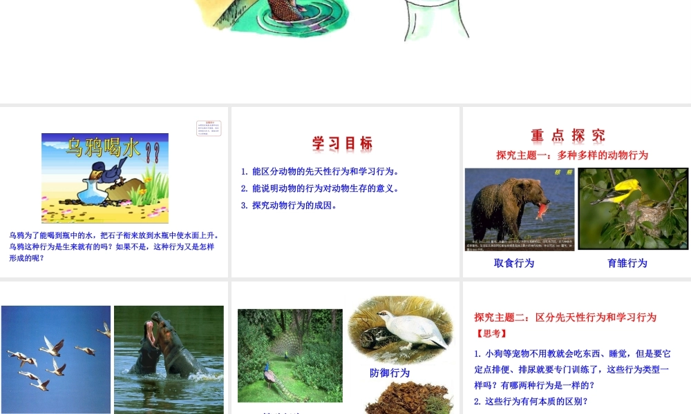 八年级生物上册 情境互动课型 5.2.2 先天性行为和学习行为课件 （新版）新人教版-（新版）新人教版初中八年级上册生物课件