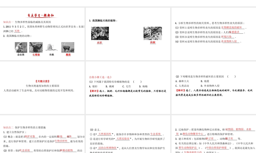 八年级生物上册 探究导学课型 6.3 保护生物的多样性课件 （新版）新人教版-（新版）新人教版初中八年级上册生物课件