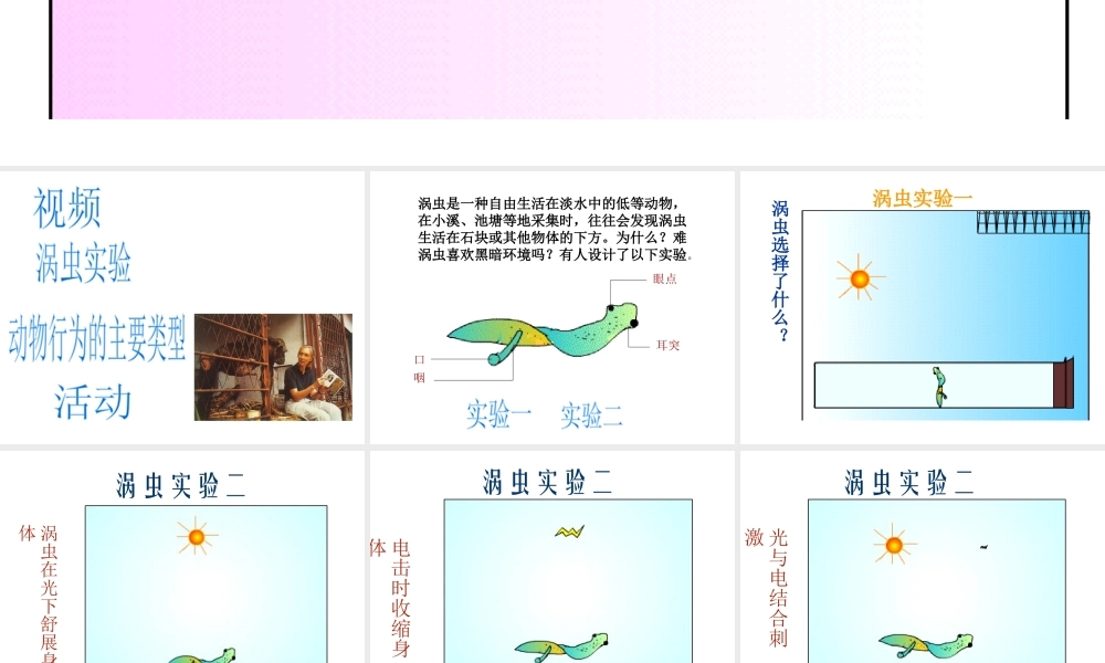 八年级生物上册 第16章 第1节 先天性行为和后天学习行为课件1 北师大版-北师大版初中八年级上册生物课件