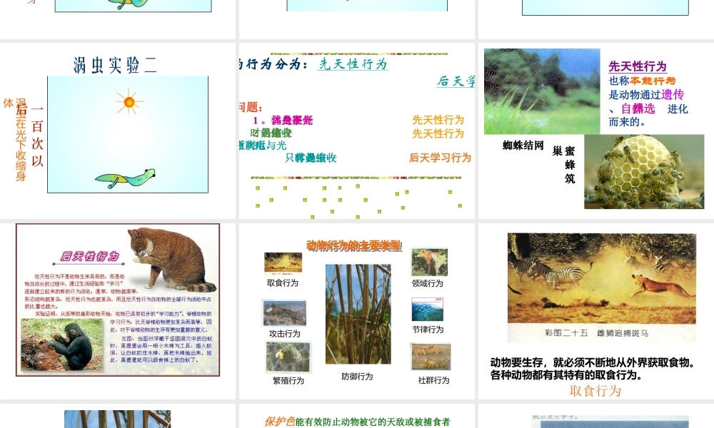 八年级生物上册 第16章 第1节 先天性行为和后天学习行为课件1 北师大版-北师大版初中八年级上册生物课件