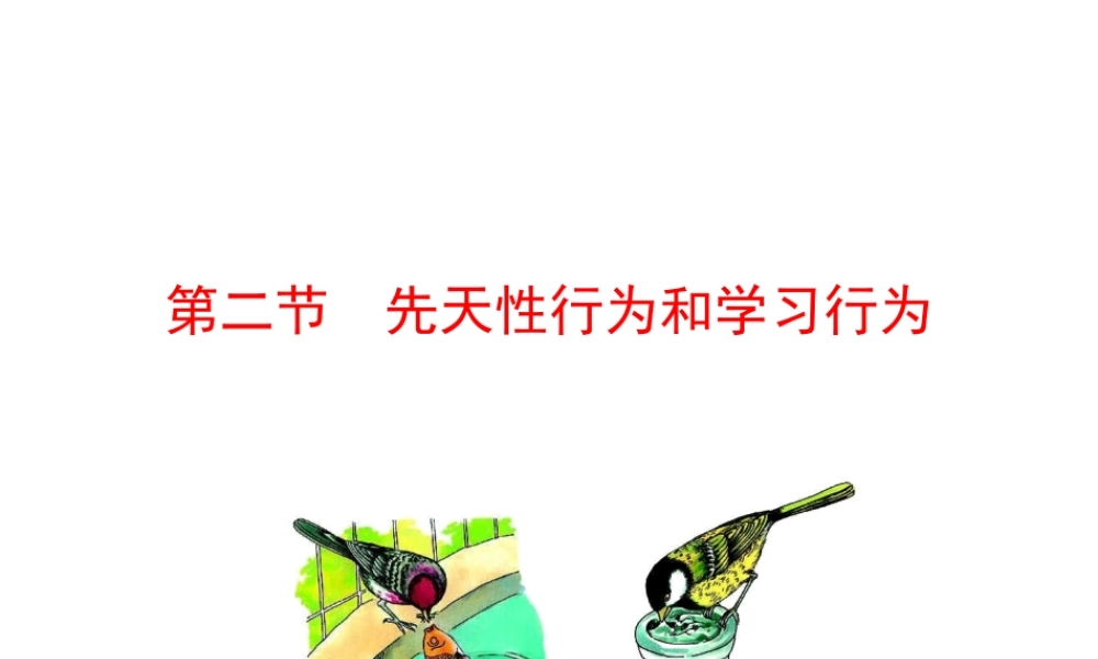 八年级生物上册 情境互动课型 5.2.2 先天性行为和学习行为课件 （新版）新人教版-（新版）新人教级上册生物课件