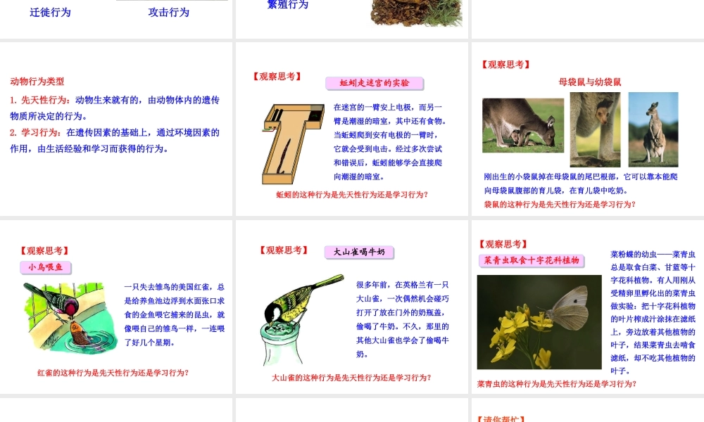 八年级生物上册 情境互动课型 5.2.2 先天性行为和学习行为课件 （新版）新人教版-（新版）新人教级上册生物课件
