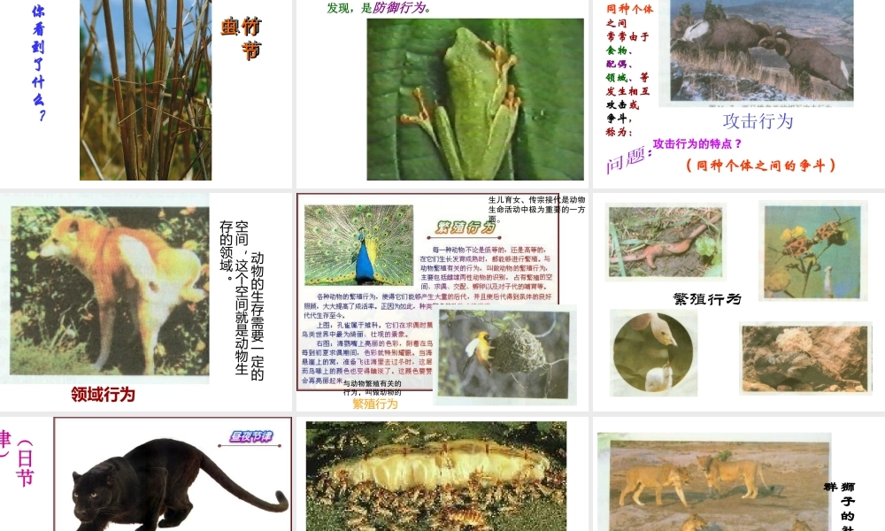 八年级生物上册 第16章 第1节 先天性行为和后天学习行为课件1 北师大版-北师大级上册生物课件