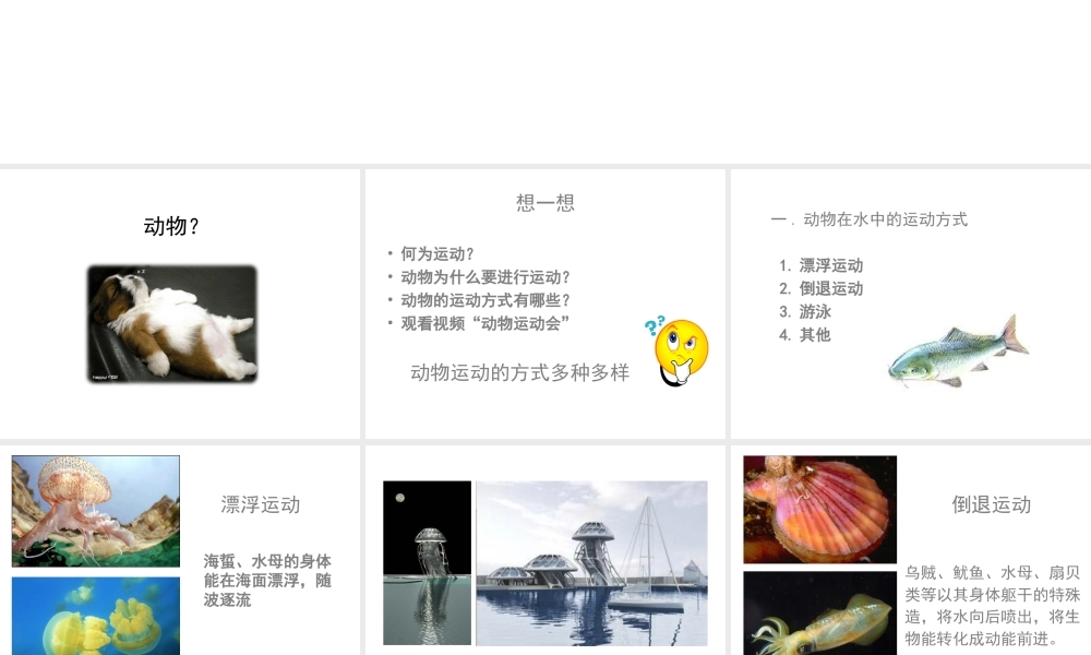 八年级生物上册 第5单元 第15章 第1节 动物的运动方式课件 北师大版-北师大级上册生物课件