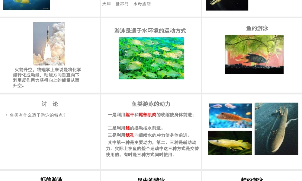 八年级生物上册 第5单元 第15章 第1节 动物的运动方式课件 北师大版-北师大级上册生物课件