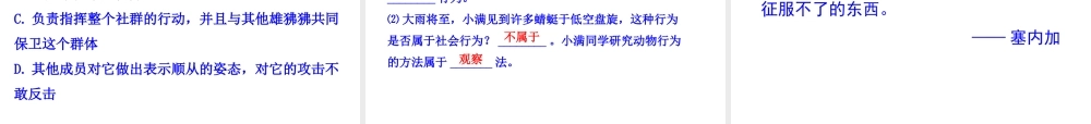 八年级生物上册 情境互动课型 5.2.3 社会行为课件 （新版）新人教版-（新版）新人教版初中八年级上册生物课件