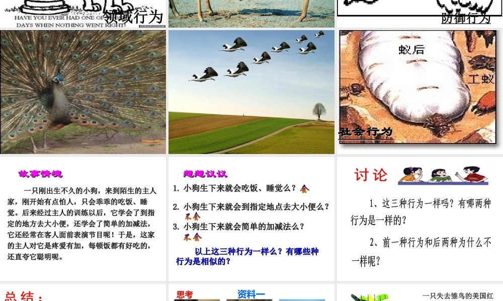 八年级生物上册 第16章 第1节 先天性行为和后天学习行为课件2 北师大版-北师大版初中八年级上册生物课件