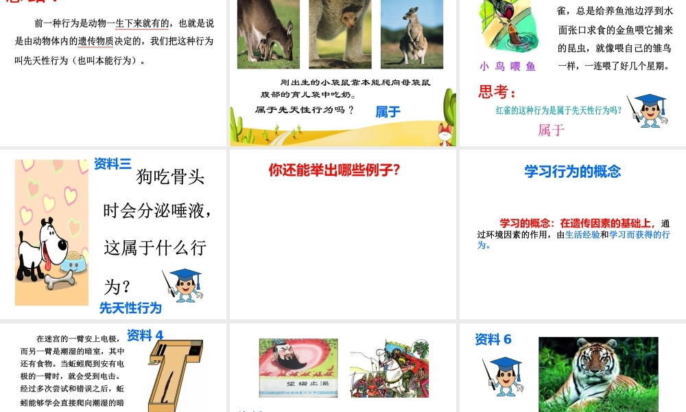 八年级生物上册 第16章 第1节 先天性行为和后天学习行为课件2 北师大版-北师大版初中八年级上册生物课件